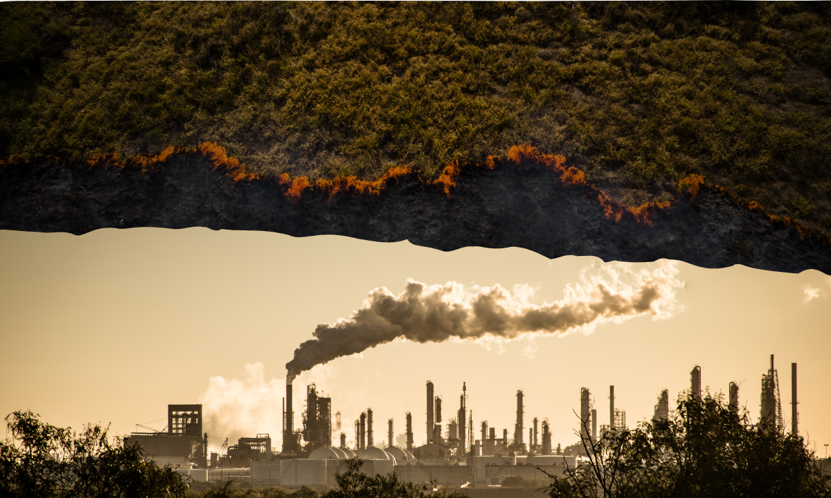 Featured image for “Two Ratings, One Holistic View: Quantifying Financial Impact of Climate Risk with PCER and ECRR”