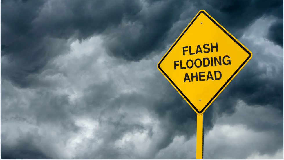 Featured image for “From Hazards to Losses: Our CSO on the Financial Cost of Physical Climate Risk”