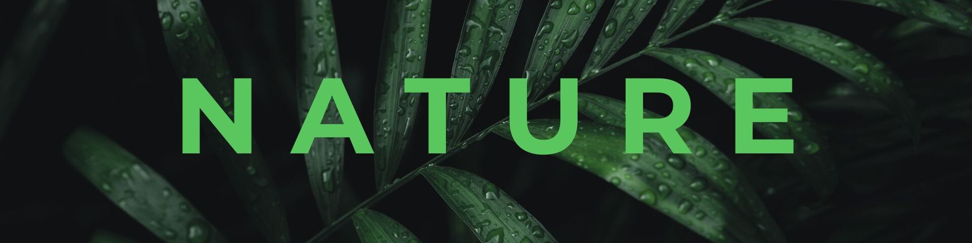 Nature Site slideshow