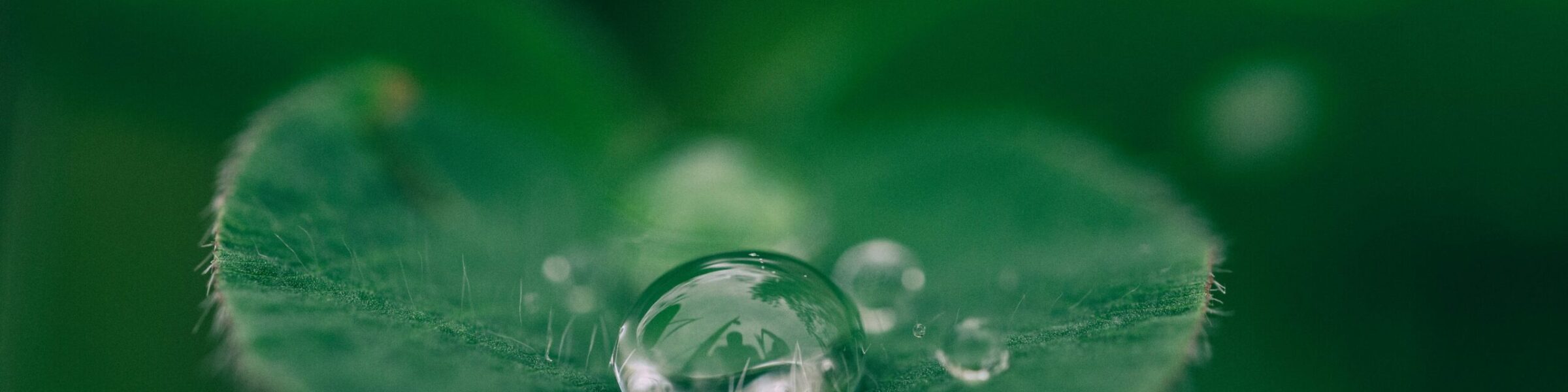 Nature Site slideshow