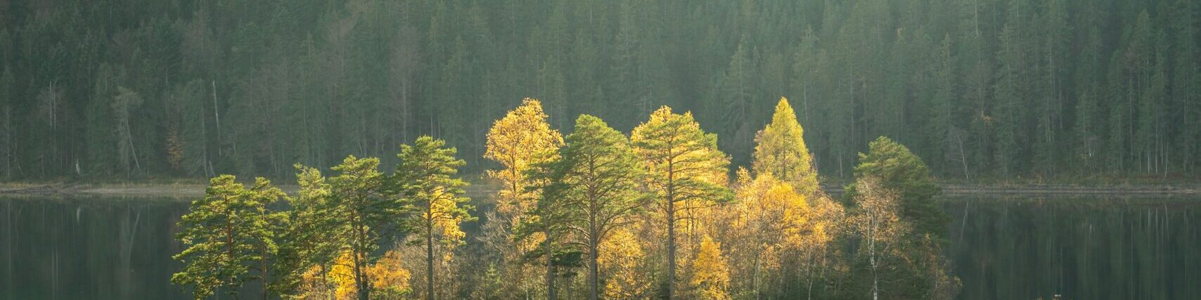 Nature Site slideshow